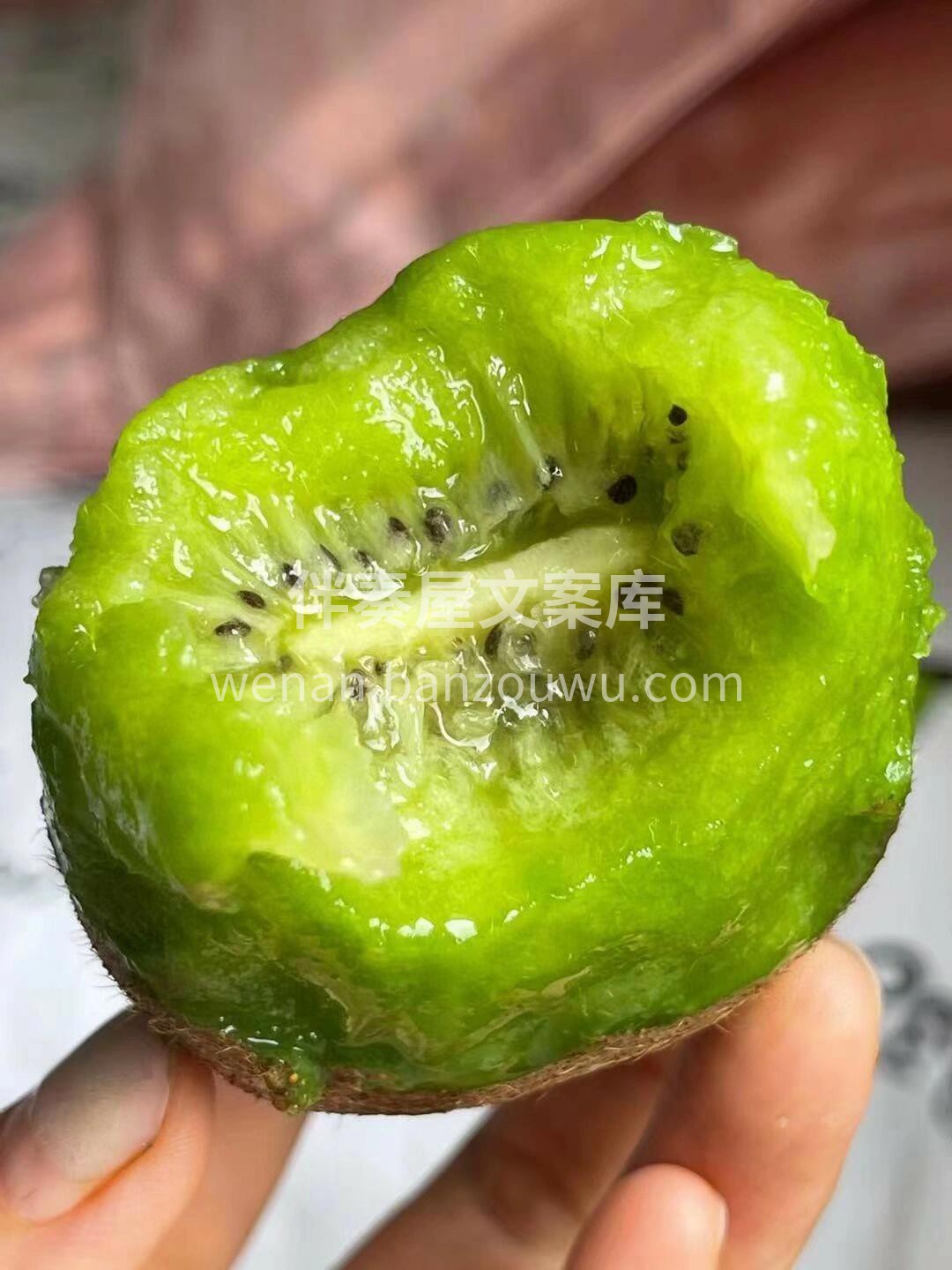 🌈秋日的阳光穿透闪闪的绿叶甜果 就像今天 配图1