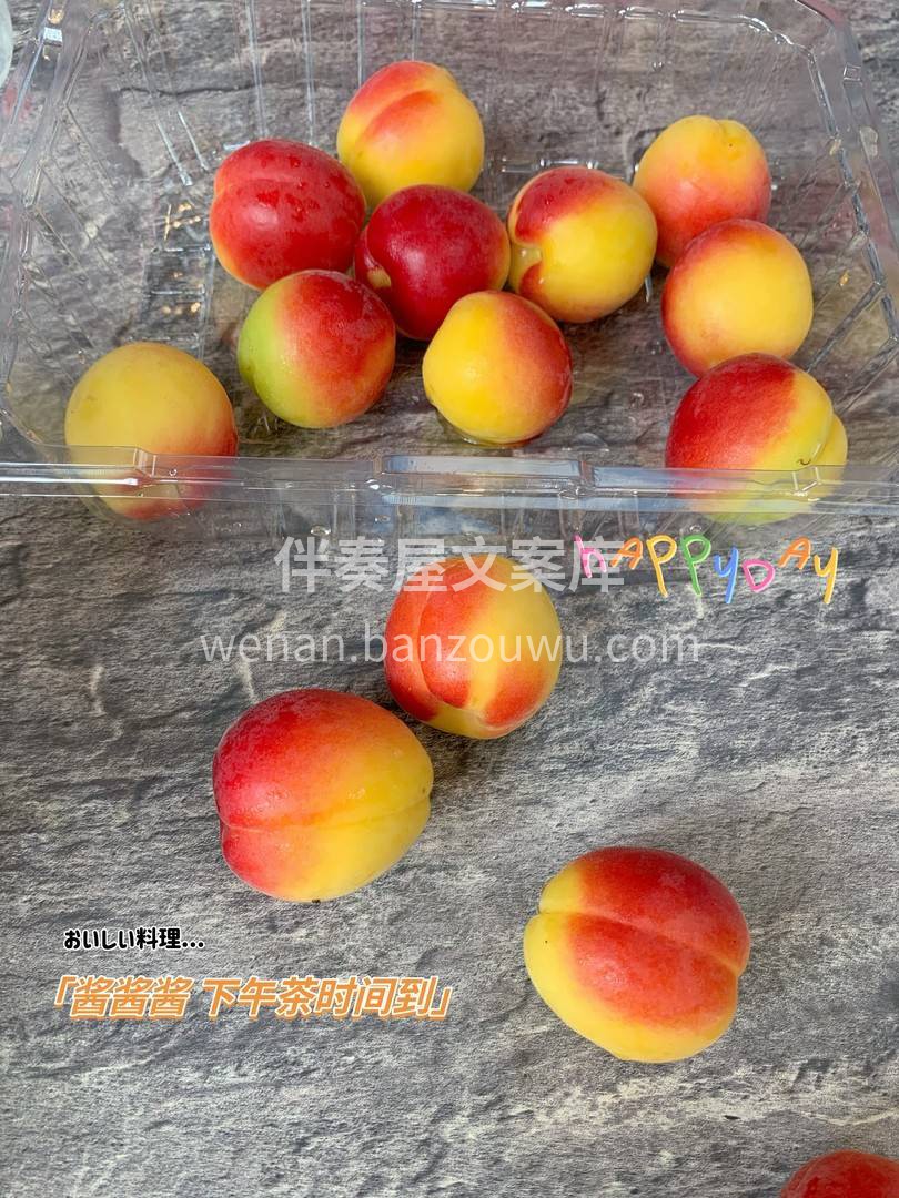 🎀 熟透的胭脂杏，其色半红半黄，果实晶莹 配图2