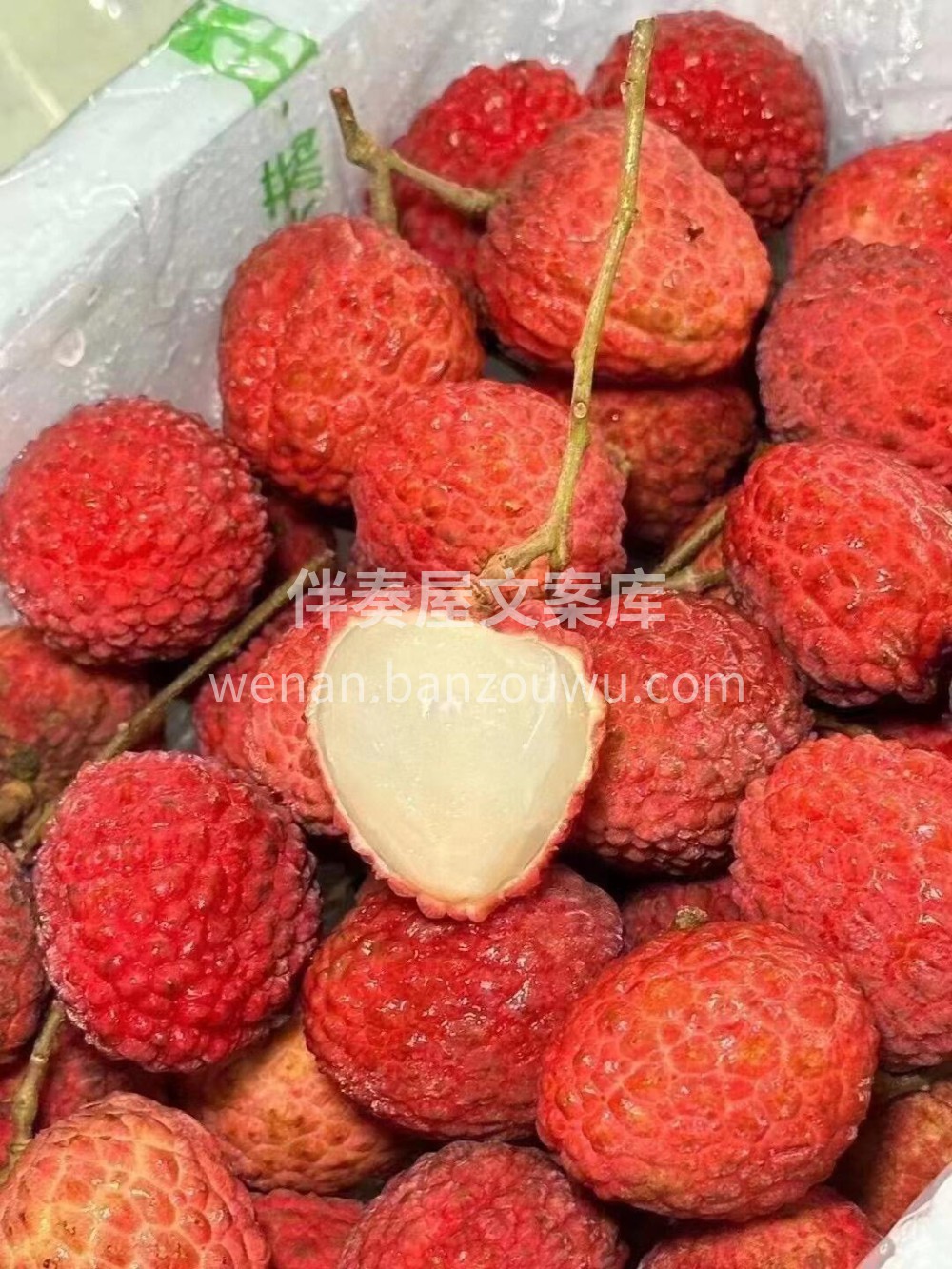 ❤️仙进奉红坠枝头🥰~ 古风古色的艳红色 配图1