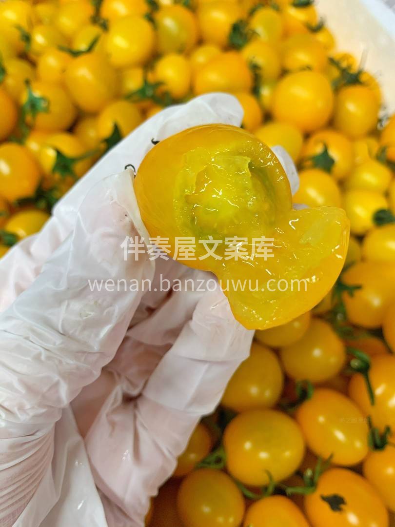 周末是生活的暂停键⏸️ 关掉闹钟，瘫在沙发上🛋️ 一边刷剧一 配图4