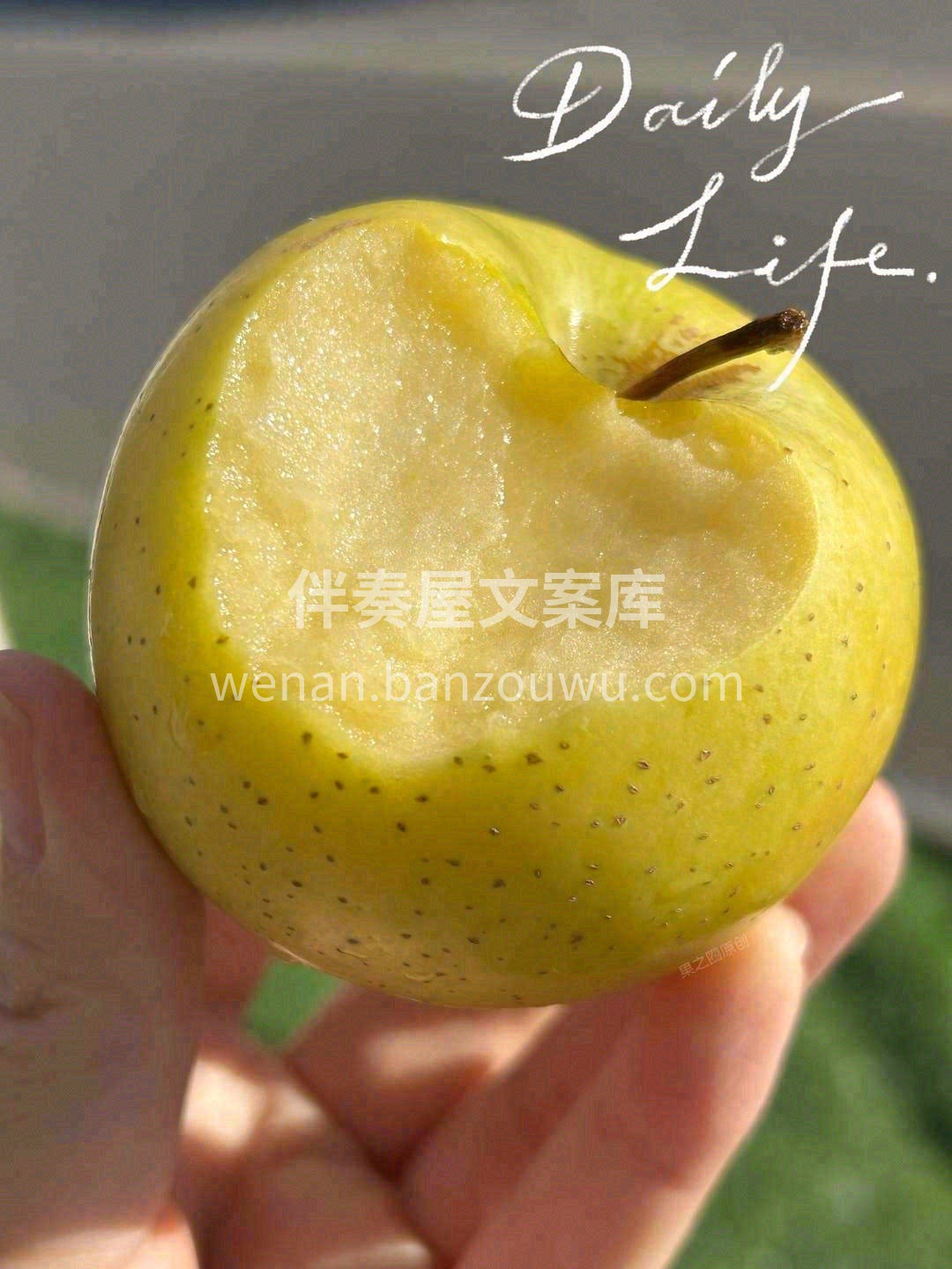 “减肥果”、“青春果”和“智慧果” 三果 配图1
