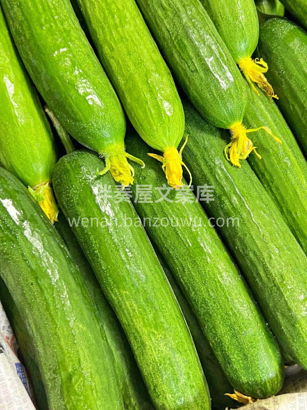人们一般称它为“迷你小黄瓜” 🥒吃起来的 配图3