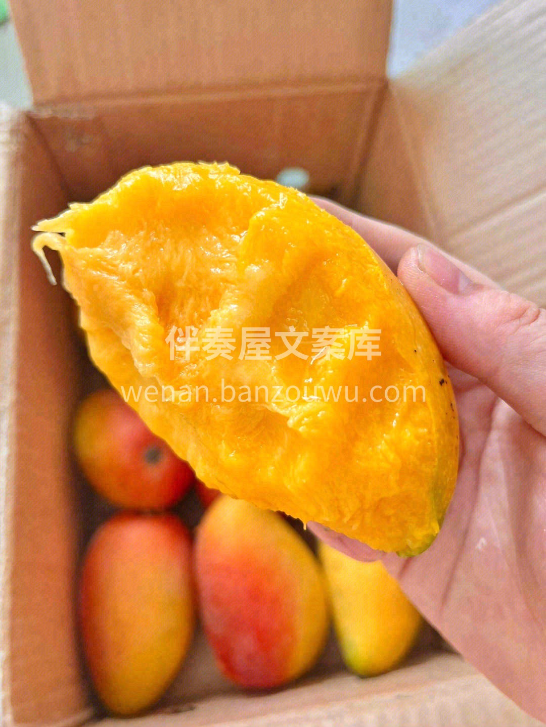 公认的“好吃到爆的芒果”🥭 它有着高颜值 配图1