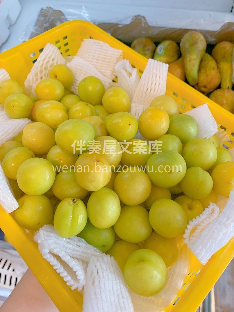 这个夏天，“杏”好遇见你👫 玲珑的新疆小 配图2