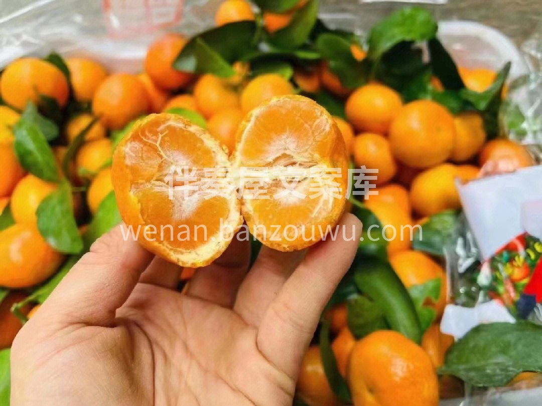 🍭🍭每到冬天必吃砂糖橘‼️ 没有砂糖橘🍊 配图2