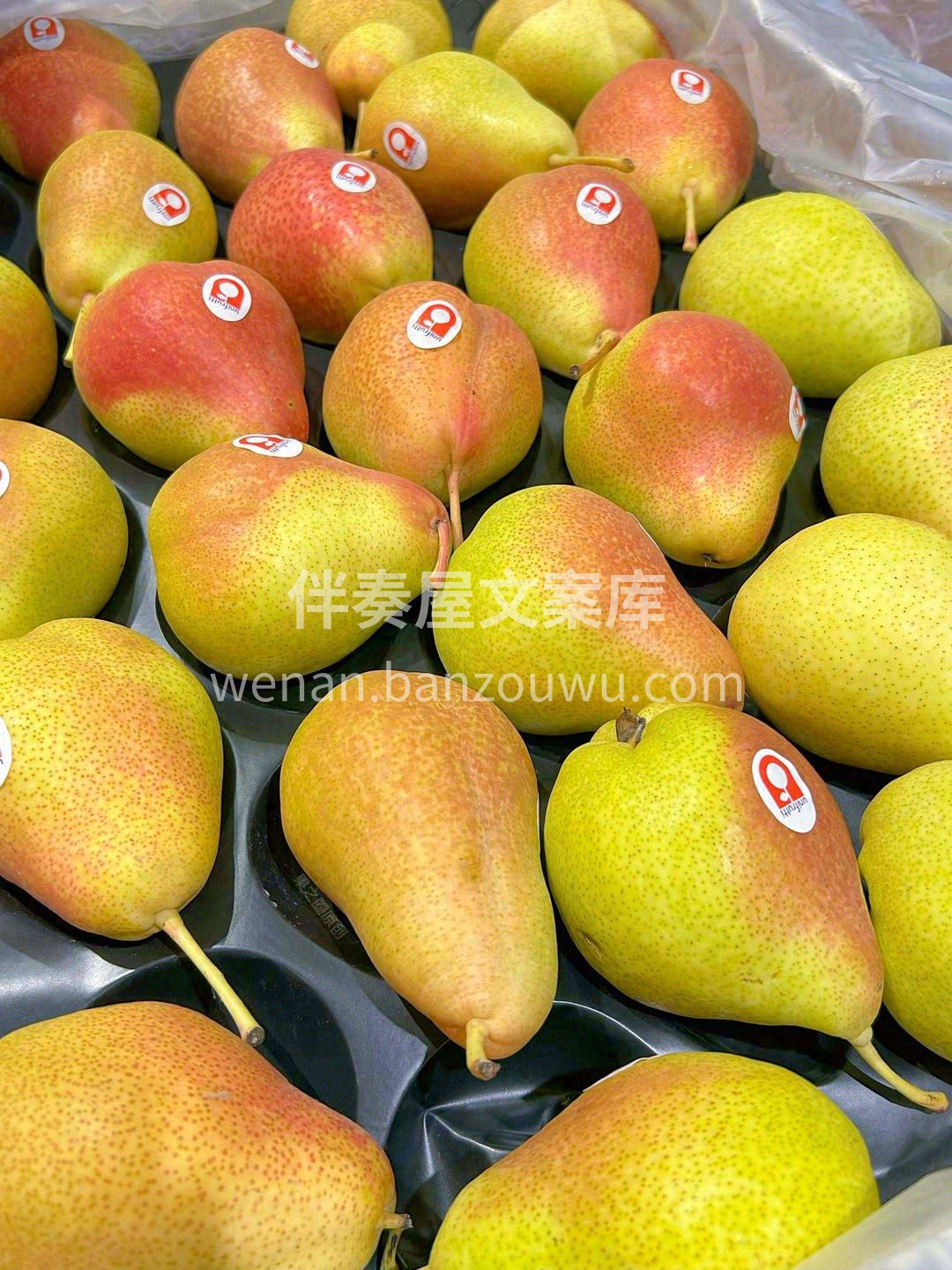 【香甜推荐】彩啤梨🍐 正值熟软滑嫩之时， 配图2