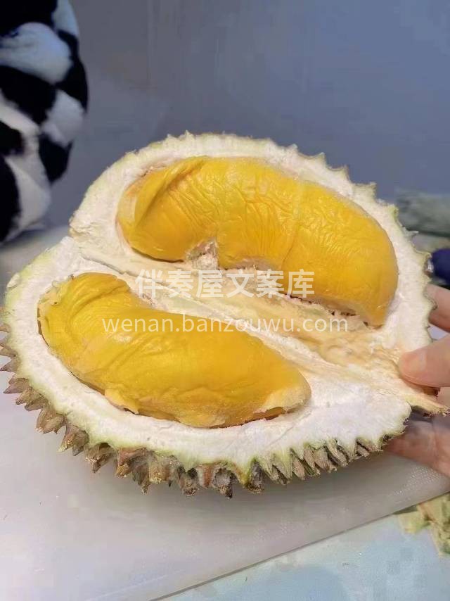 🇲🇾猫山王榴莲 此生不食猫山王，尝遍榴莲 配图2