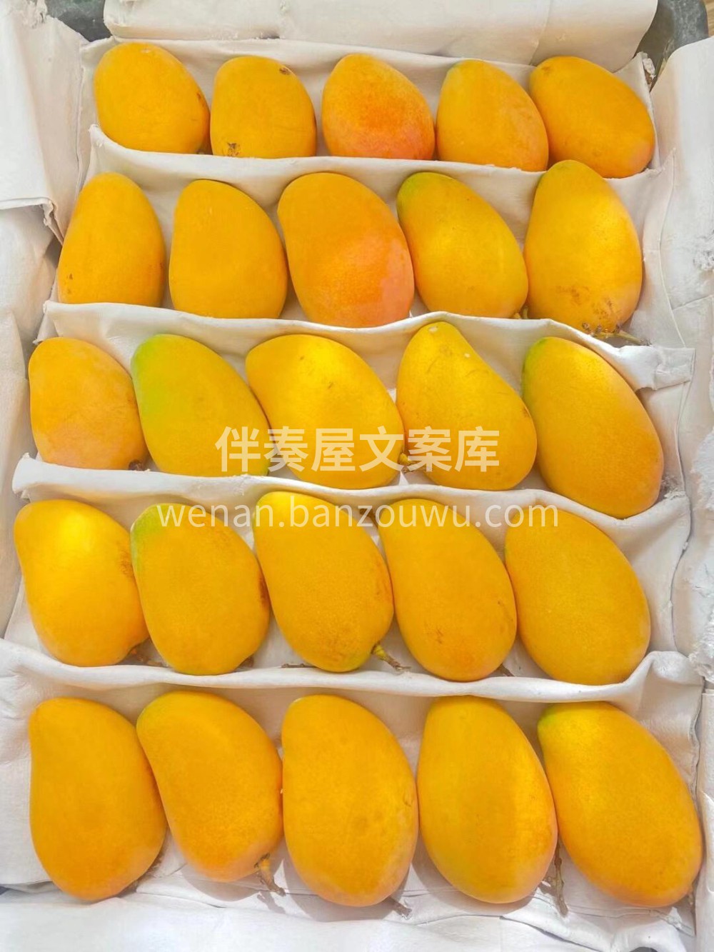 当季小台芒‼️肉质金黄，芒果味尤其浓郁❤ 配图3