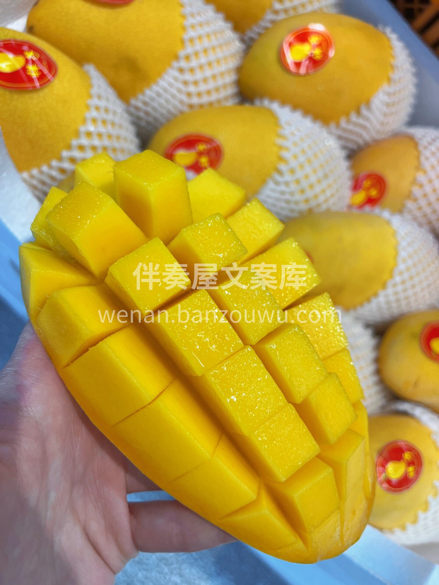 🌈夏天一到，就开始想念芒果的味道了😍 海 配图1
