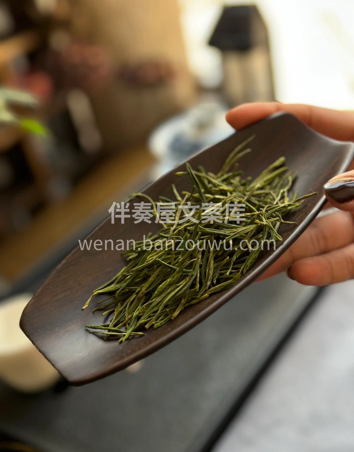 安吉白茶自带“白富美”气质，一芽一叶凝萃 配图1