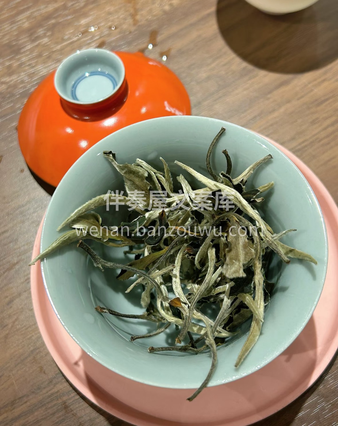 云南月光下的温柔馈赠｜月光美人白茶 芽头 配图1