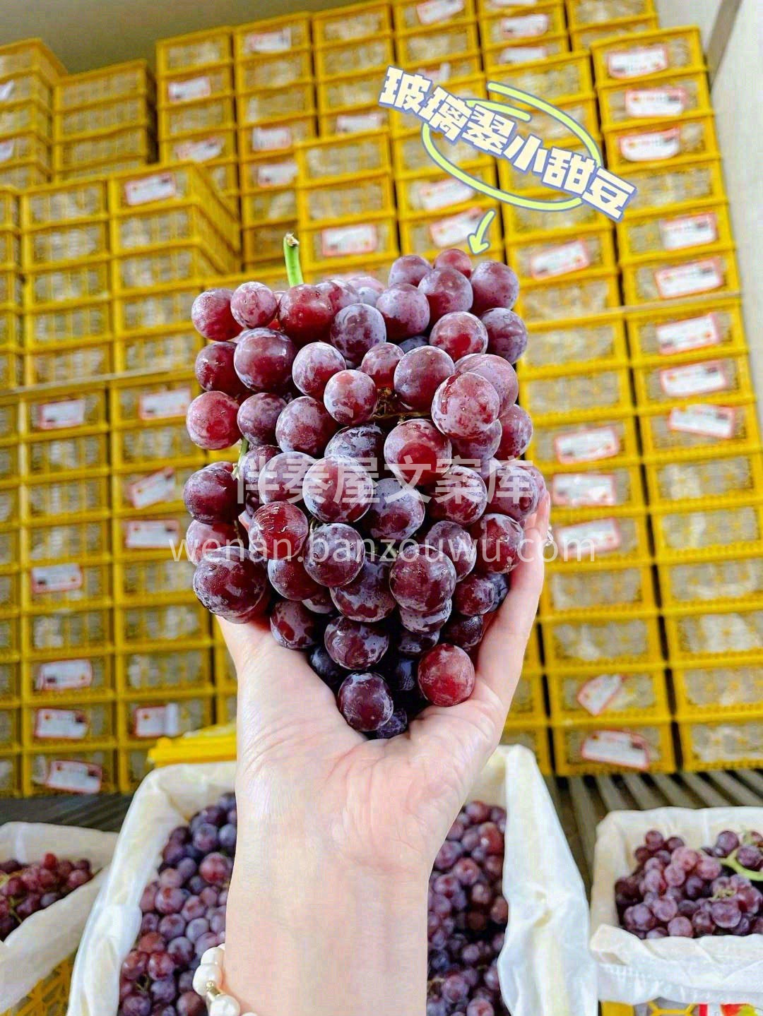 🍭甜蜜又营养，颗颗晶莹饱满 🍇细腻的果肉 配图1