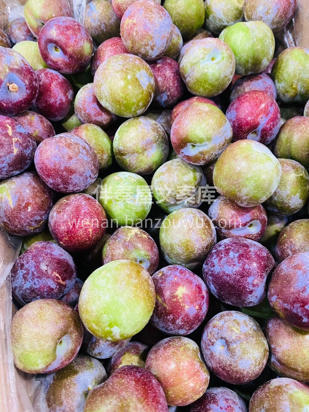 🍃🍃脆李新鲜上市‼️ 肉质细腻口感脆爽💦 配图2