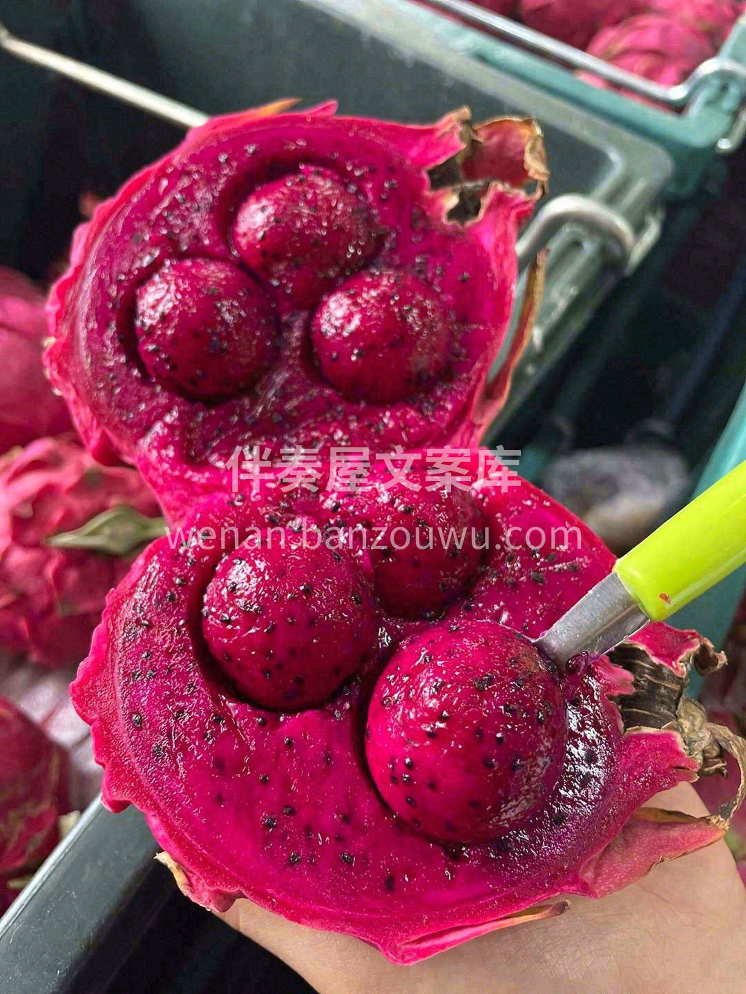 坚持每天吃这颗优秀的红心火龙果🌸！ 你就 配图1