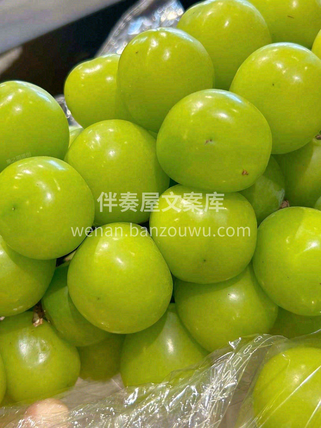 特级阳光玫瑰 🍇 ，每一颗都是爆甜脆的翡 配图1