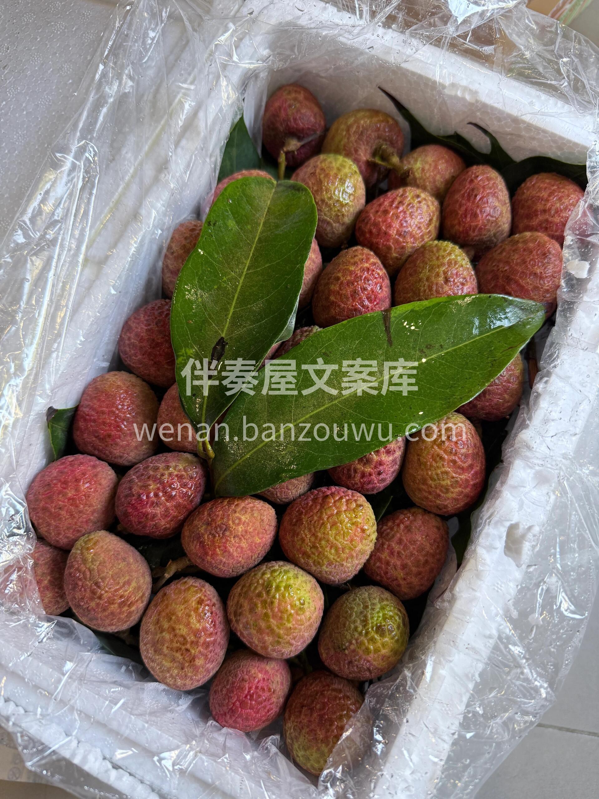 🍒桂味荔枝也太香了吧‼️ 轻轻一剥，香气 配图2