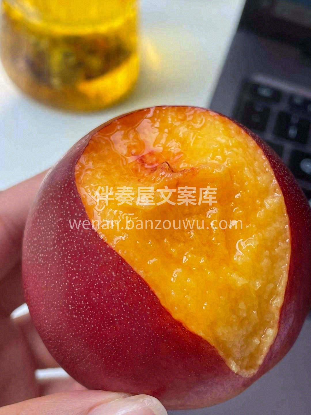 这颗桃子有多好吃😍？四句话概括 晚熟麻点 配图1