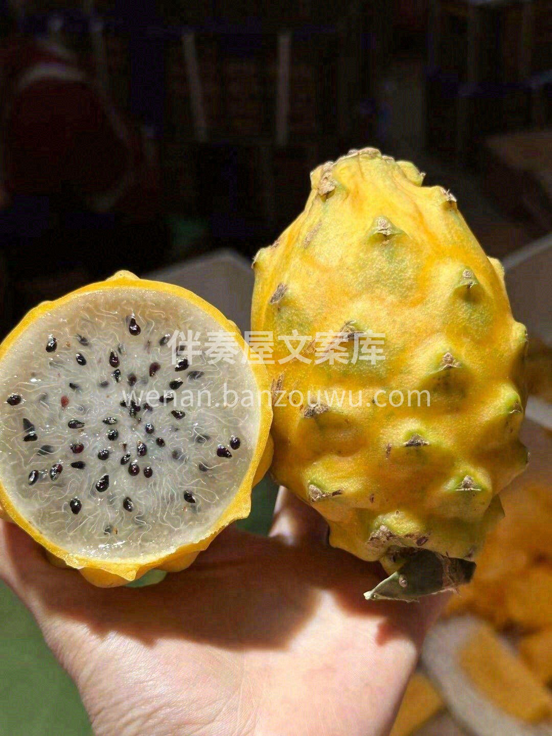 美丽的秘密就是😶 她们都在上火🔥 而你却 配图3