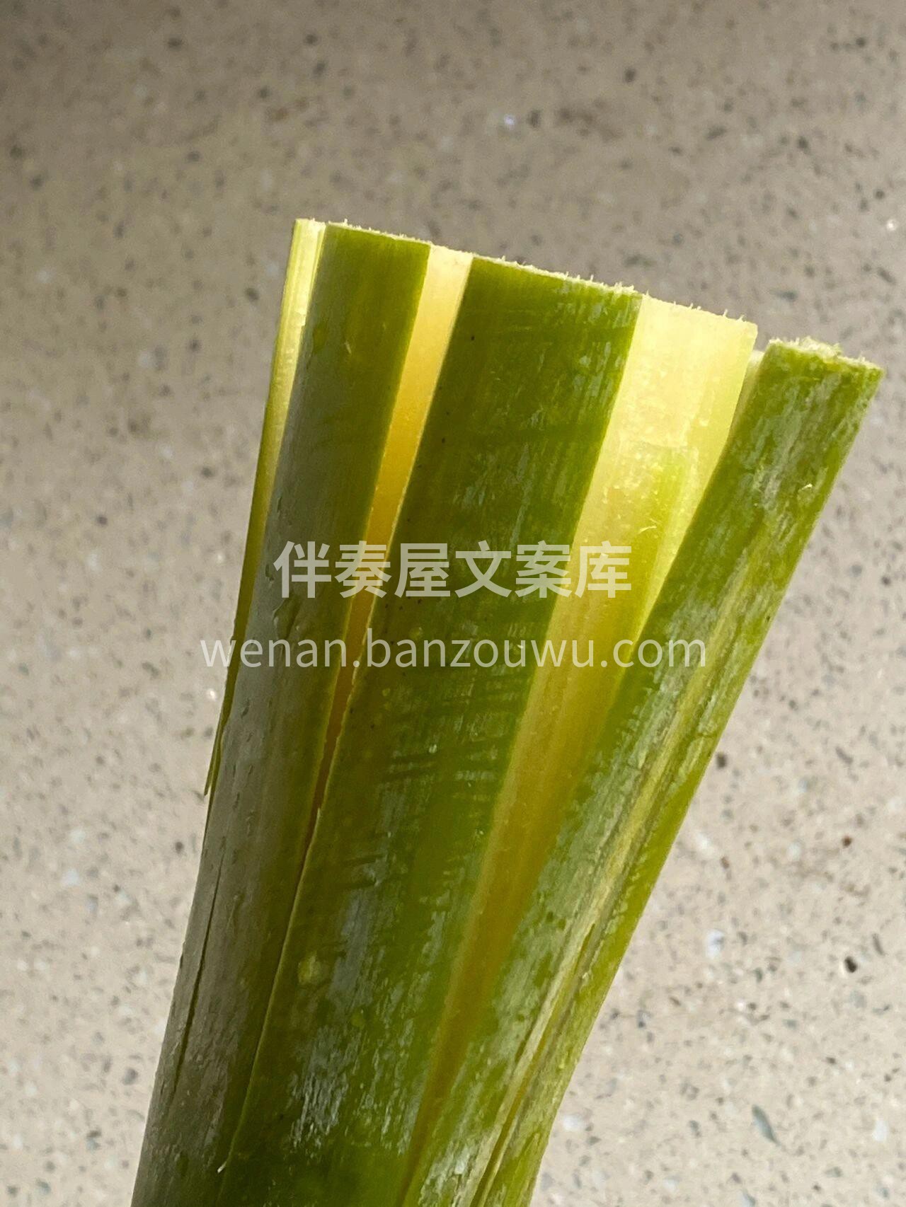 #紫皮甘蔗#黄金甘蔗 一口下去甘甜又解腻 配图1