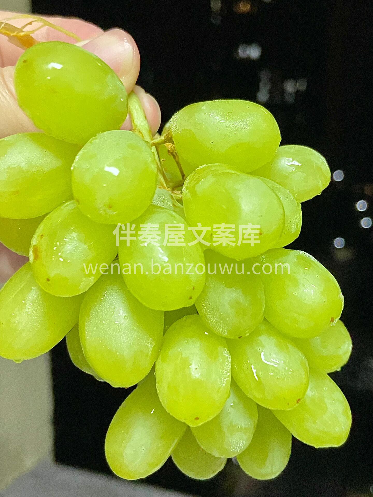 【新疆马奶提】🍃 🌈喝着新疆天山🏔的雪水 配图3