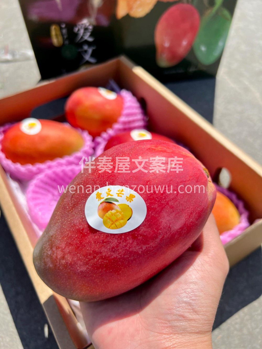 🌸端午节安康 ❤️用心的节日问候是建立我们感情桥梁的纽带🌺愿 配图4