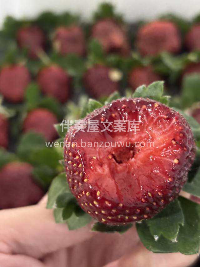 今日限定“黑草莓”🍓 外表是高冷的深绯色 配图2