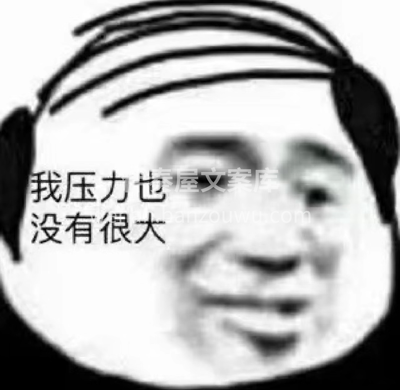 茶韵悠长，滋养身心。优质茶叶，精心烘焙， 配图3