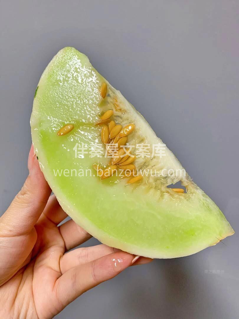 ✨月露流星蜜瓜🍈稀有的高级蜜瓜品种‼️  配图1