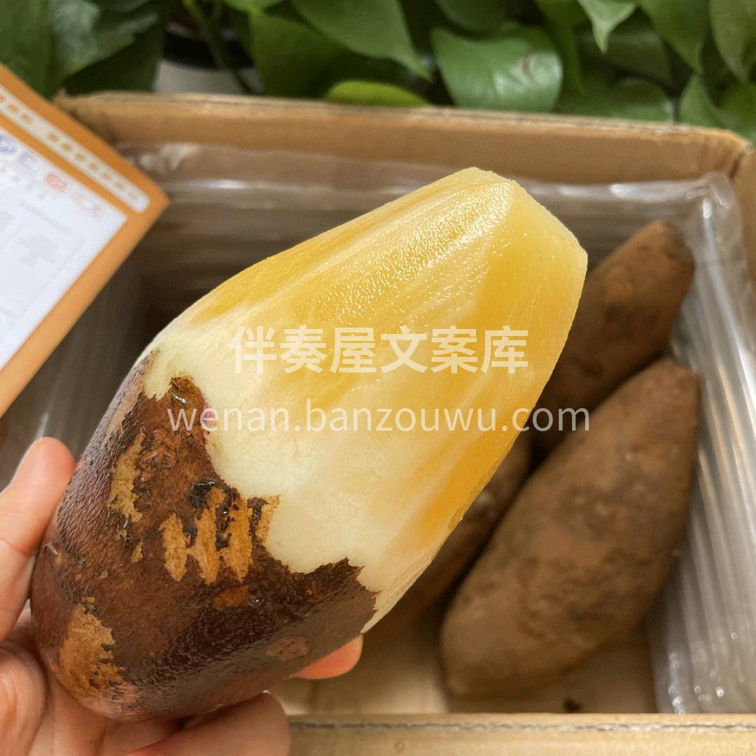 生吃，汁多嘎嘣脆🌈； 煨浓汤，加入排骨同 配图2