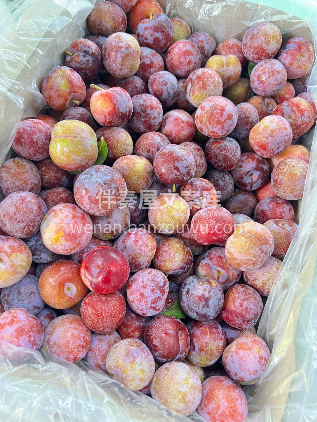 清晨一口脆甜🍎午后一份多汁🍊 忙碌的生活需要水果来点亮✨ 新 配图6
