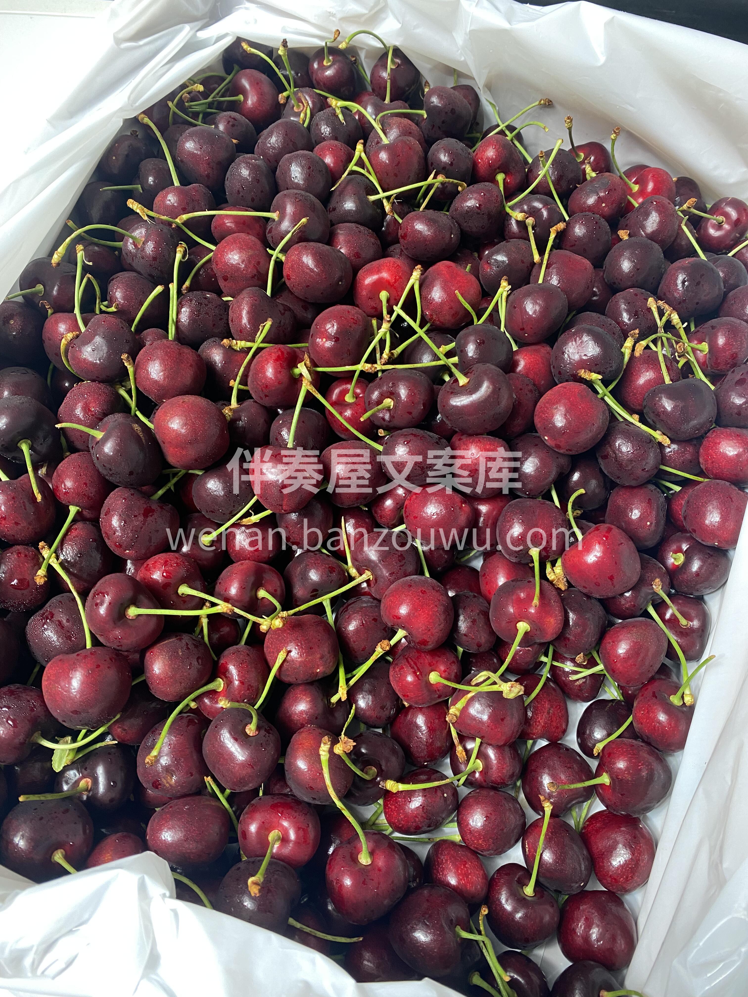 🍒【美国车厘子】新鲜到店‼️ 颜值天花板 配图1