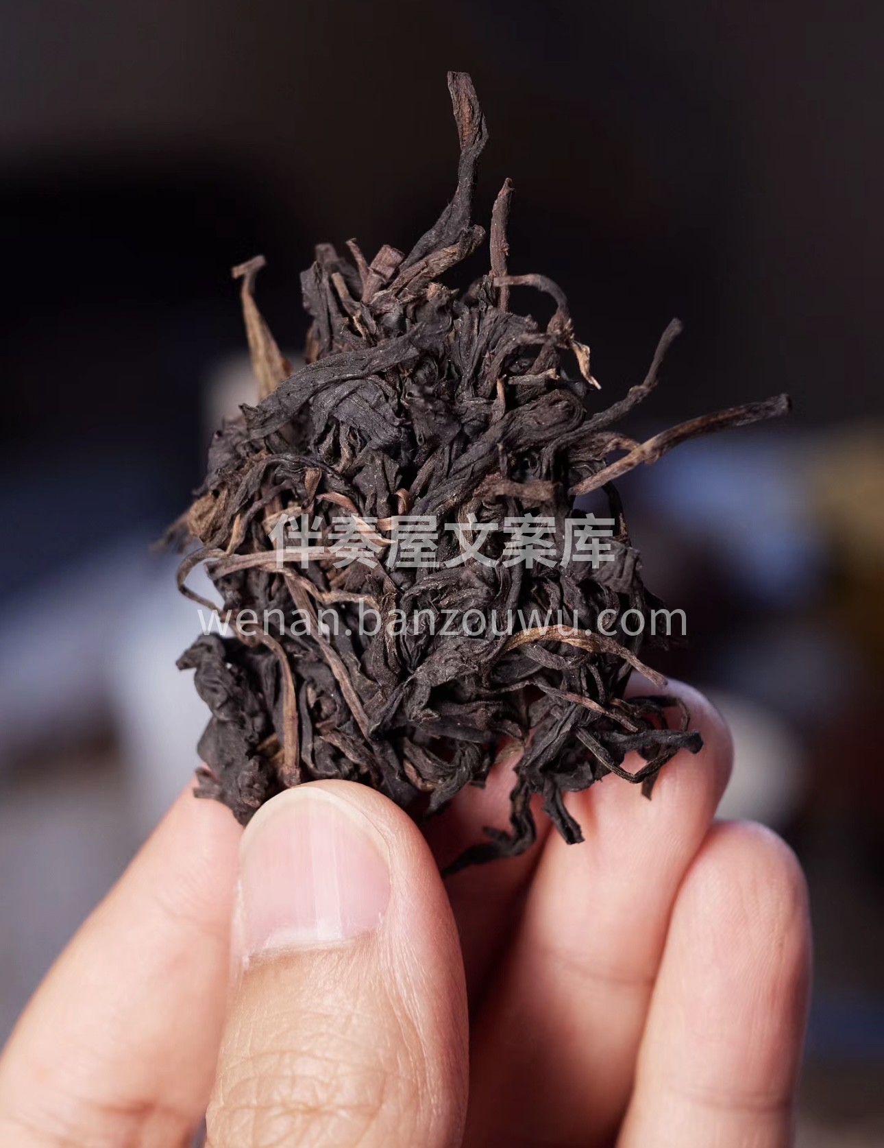 🍵二溪天尖茶，茶中珍品，让你品味不一样的 配图2