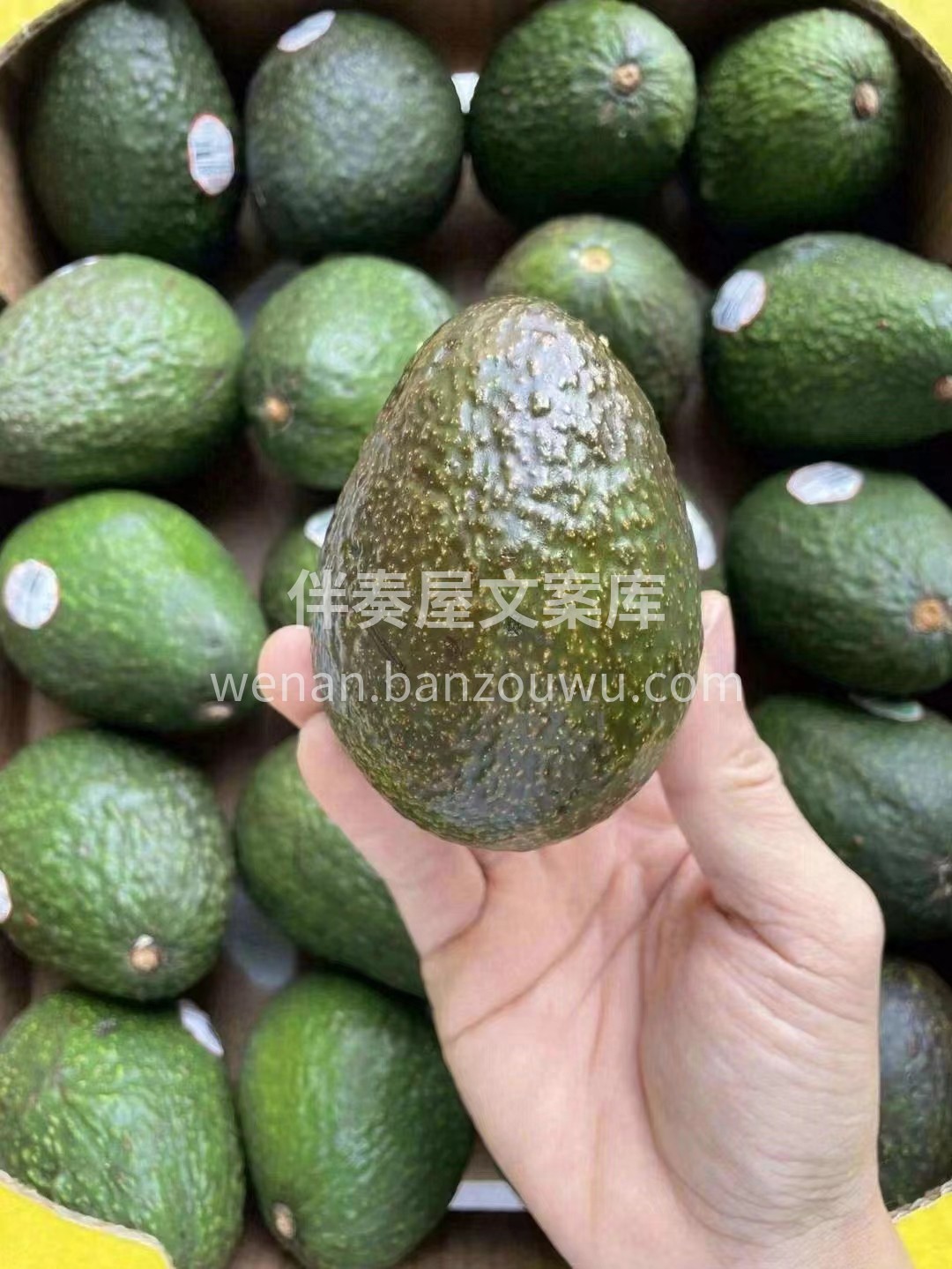 牛油果，来啦🙋！ 这批牛油果真的了不起哦 配图2