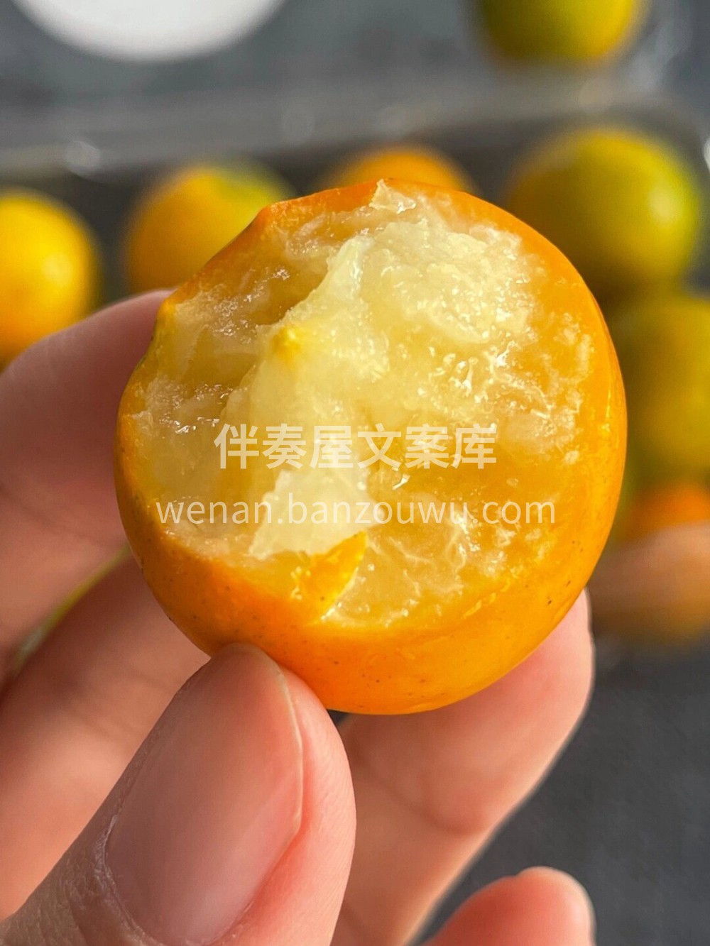 🍊脆皮金桔 富含维C和维生素A、金桔甙等 配图2