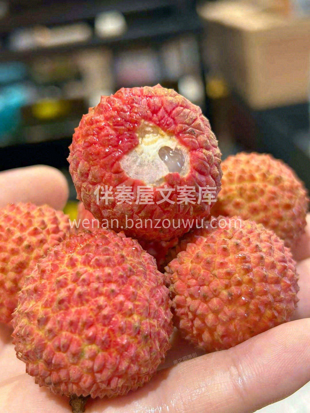 仲夏，尝完这口桂味甜，然后就和这个世界和 配图3