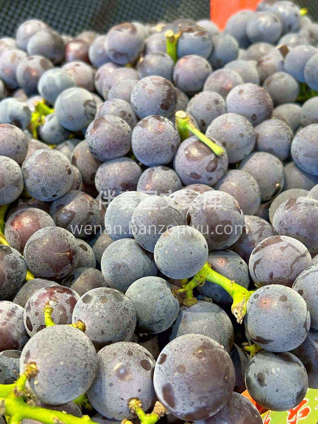 一份坚守的味道🙋 一份淳朴的葡萄香🍇 葡 配图2