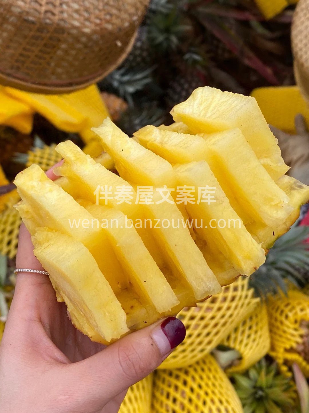 🍍树熟金钻凤梨 无需挖洞眼，无须泡盐水， 配图2
