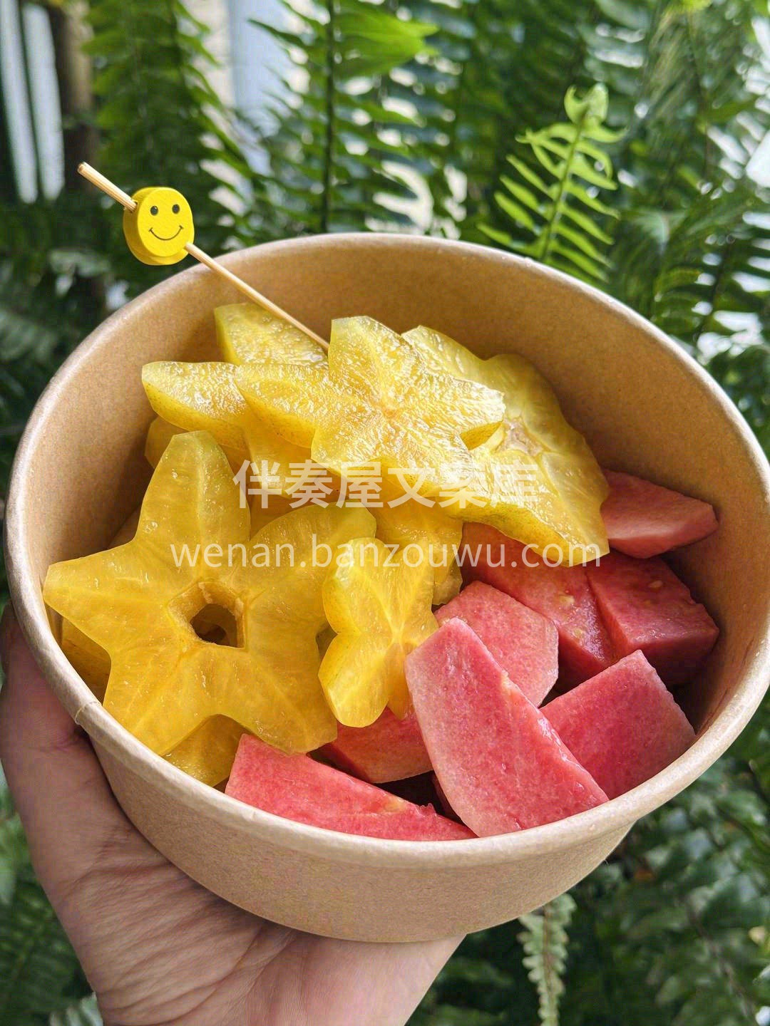 阳光明媚的慵懒午后🥰 ，吹着微风的温暖时 配图2