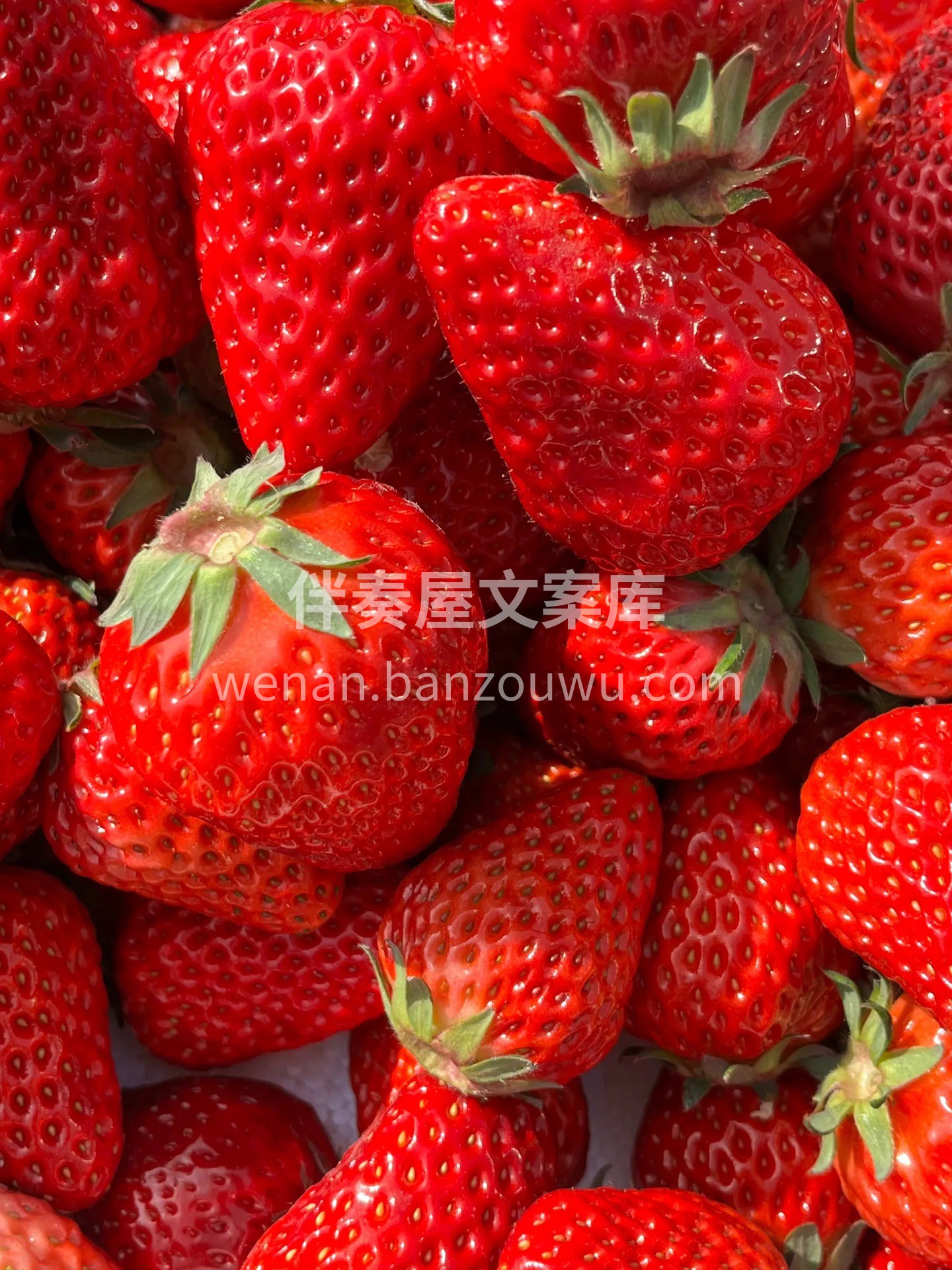 ‍ ? ♡ ʜᴀᴘᴘʏ̆̈ ?◡̈* 4 配图3
