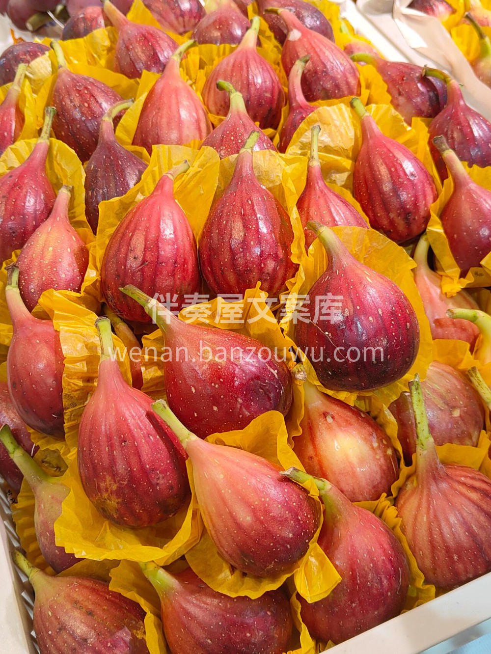 🌷𝒮𝓊𝓃𝓃𝓎 𝒟𝒶𝓎 好天气是野餐的信号 配图2