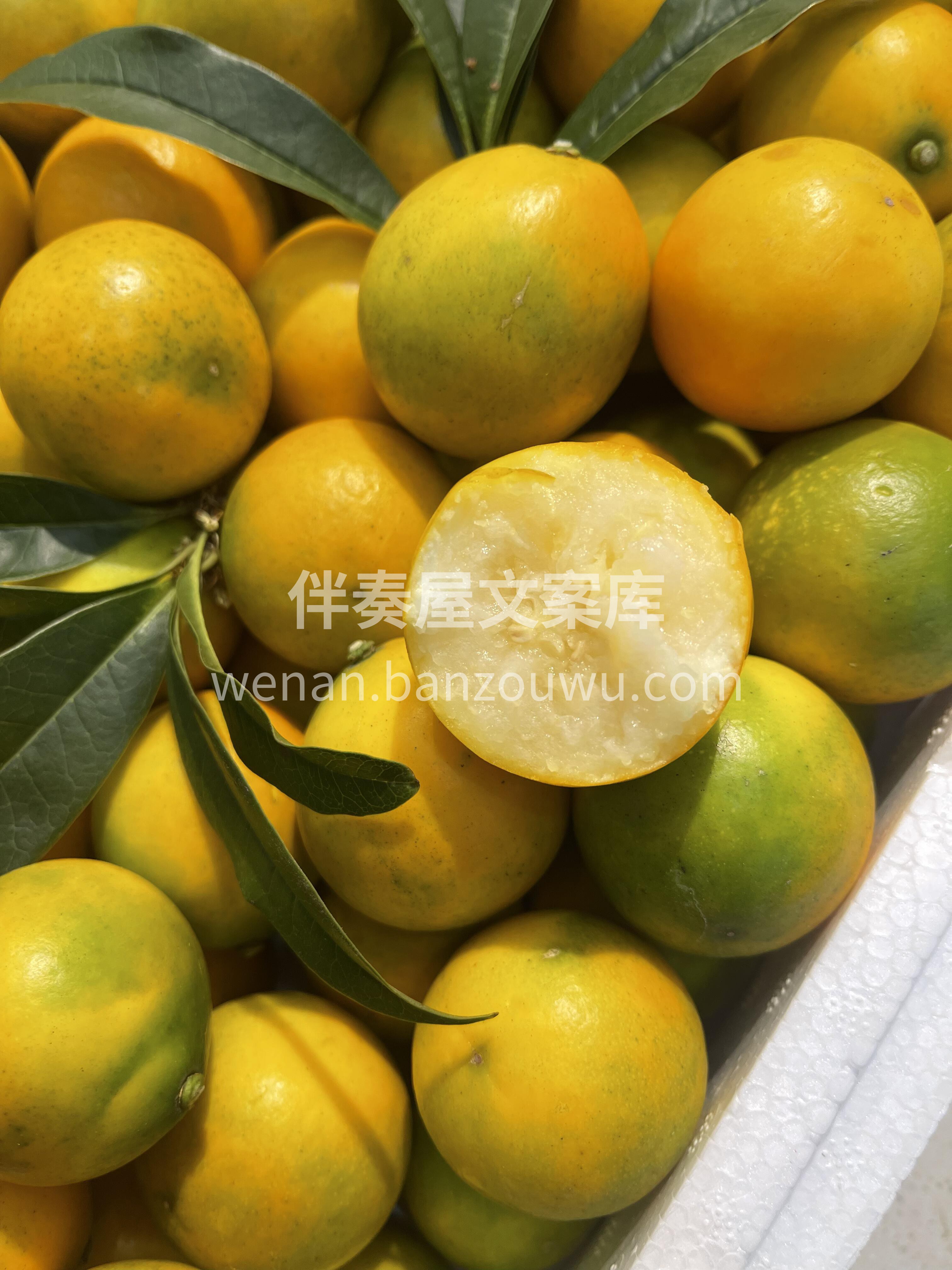 🍊脆皮金桔 初闻就是一股清香气🍃，吃到嘴 配图1