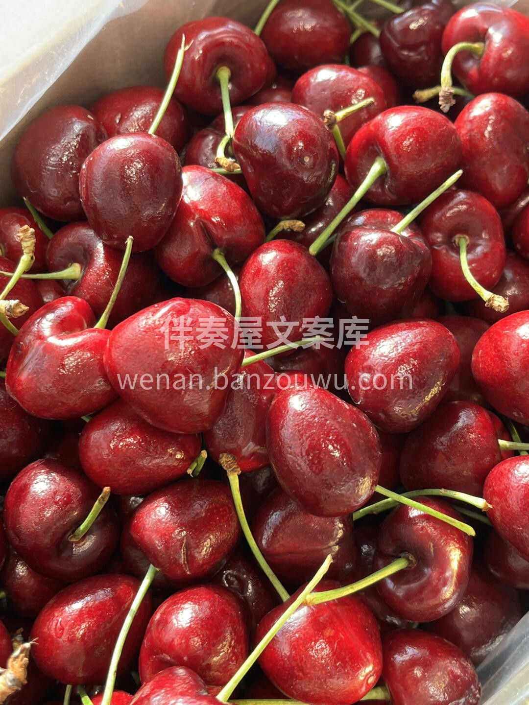 冬天第一颗车厘子的寓意🌸： 你是最珍贵的 配图3