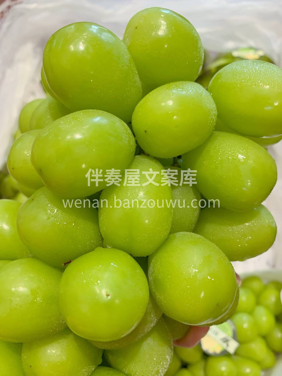 🔸不知道吃什么就吃晴王！ 清新果香+玫瑰 配图3