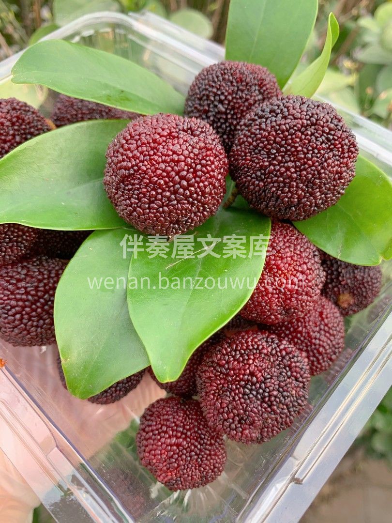 水灵透亮的杨梅，红艳中透出美妙💯💯 一口 配图2