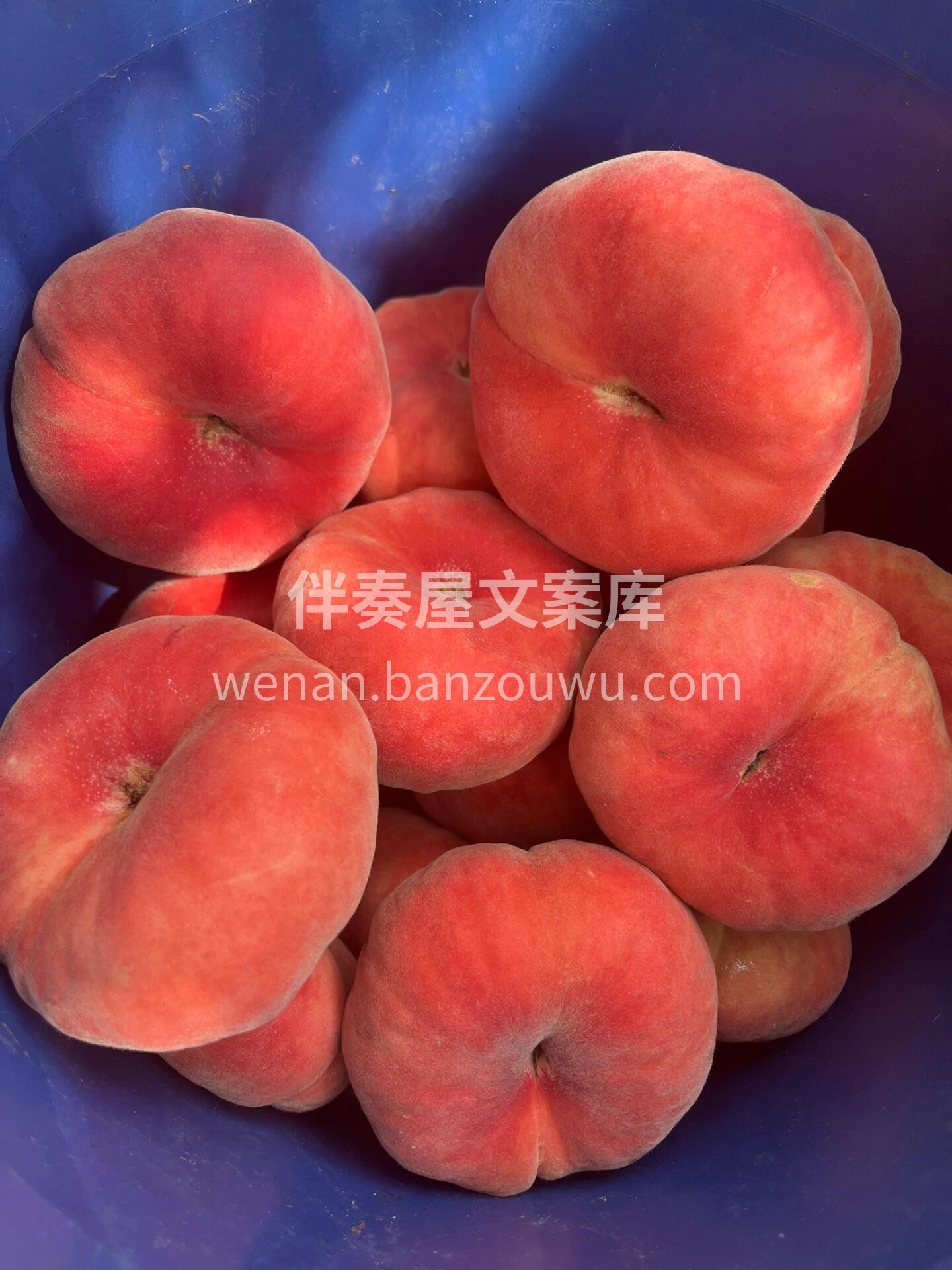 🍑一个蟠桃也能吃出无限惊喜🎊🎊 厚实的果 配图3