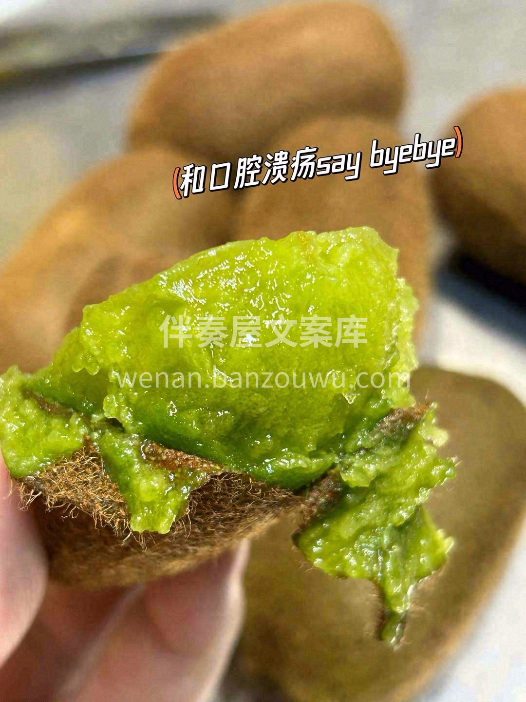 修文猕猴桃🥝，诞于贵州，猕猴桃中的贵族💎 配图1