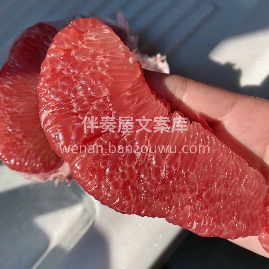 国庆到秋风起🍁水果正当时 清甜不腻🍐滋润身心 把季节的馈赠✨ 配图5