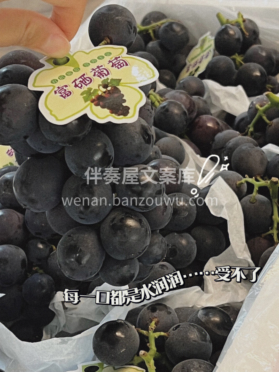 一年中吃葡萄的季节来了🍇富硒巨峰葡萄 富 配图3