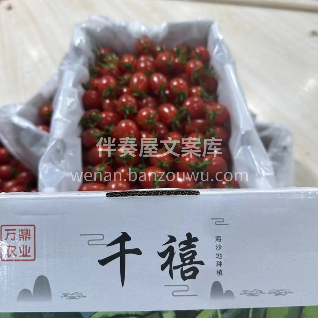 万鼎-红千禧🍅🍅 茂名电白千禧果，是不是 配图2