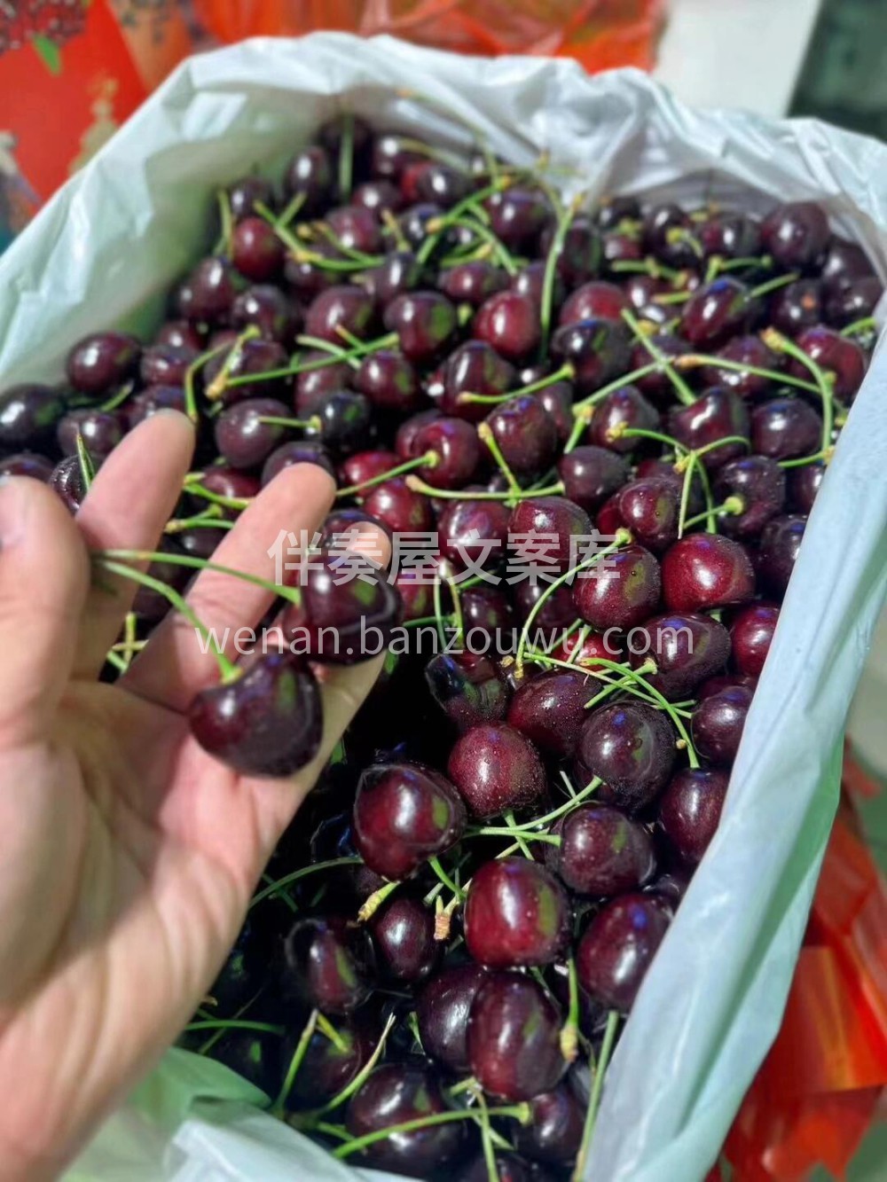 💕这个季节最难拒绝的车厘子🍒进口黑车，黑 配图2